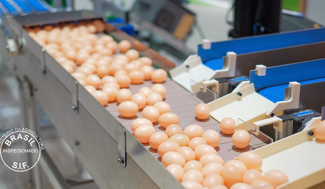 Quais são os requisitos dos selos de inspeção em alimentos?
